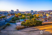 팔달산 | 관광지 | 여행정보 | 경기관광플랫폼