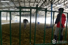 용인 한산이씨 음애공파고택 | 관광지 | 여행정보 | 경기관광플랫폼