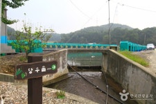 신촌낚시터 | 관광지 | 여행정보 | 경기관광플랫폼