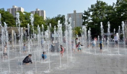 능골공원 | 관광지 | 여행정보 | 경기관광플랫폼