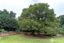 심곡서원 | 관광지 | 여행정보 | 경기관광플랫폼