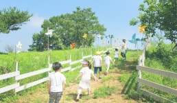 파주 질오목 마을 | 관광지 | 여행정보 | 경기관광플랫폼