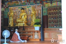 용덕사 | 관광지 | 여행정보 | 경기관광플랫폼