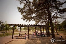 안성 팜랜드 | 관광지 | 여행정보 | 경기관광플랫폼