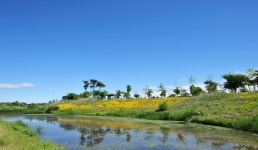 금은모래캠핑장 | 관광지 | 여행정보 | 경기관광플랫폼