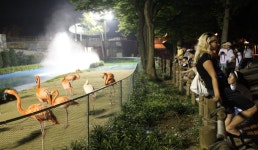 서울대공원 | 관광지 | 여행정보 | 경기관광플랫폼