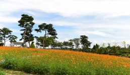 금은모래강변공원 | 관광지 | 여행정보 | 경기관광플랫폼