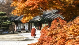 문원리3층석탑 | 관광지 | 여행정보 | 경기관광플랫폼