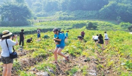 연천 옥계마을 | 관광지 | 여행정보 | 경기관광플랫폼