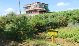 하동농원 | 관광지 | 여행정보 | 경기관광플랫폼