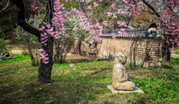 플라이스테이션 | 관광지 | 여행정보 | 경기관광플랫폼