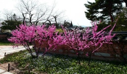 호암미술관 | 관광지 | 여행정보 | 경기관광플랫폼