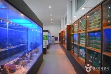 창조자연사박물관 | 관광지 | 여행정보 | 경기관광플랫폼