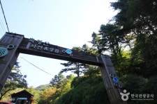 축령산 | 관광지 | 여행정보 | 경기관광플랫폼