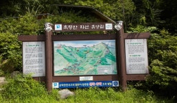 축령산자연휴양림 | 관광지 | 여행정보 | 경기관광플랫폼