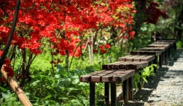 한택식물원 | 관광지 | 여행정보 | 경기관광플랫폼