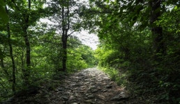 명지계곡 | 관광지 | 여행정보 | 경기관광플랫폼