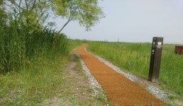 우음도 | 관광지 | 여행정보 | 경기관광플랫폼