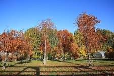 서수원도서관 | 관광지 | 여행정보 | 경기관광플랫폼