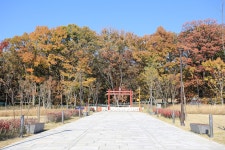 화성용주사효행박물관 | 관광지 | 여행정보 | 경기관광플랫폼