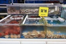 하남수산물시장 | 관광지 | 여행정보 | 경기관광플랫폼