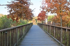 봉담2생태체육공원 | 관광지 | 여행정보 | 경기관광플랫폼