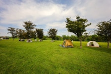 충장근린체육공원 | 관광지 | 여행정보 | 경기관광플랫폼