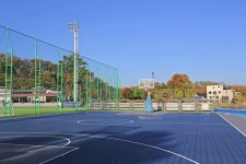 봉담2생태체육공원 | 관광지 | 여행정보 | 경기관광플랫폼