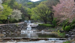 효령대군영정 | 관광지 | 여행정보 | 경기관광플랫폼