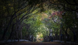 효령대군영정 | 관광지 | 여행정보 | 경기관광플랫폼