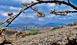 대성암 | 관광지 | 여행정보 | 경기관광플랫폼