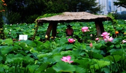 미산1동마을회관 | 관광지 | 여행정보 | 경기관광플랫폼