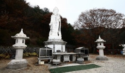 파주 산머루농원 | 관광지 | 여행정보 | 경기관광플랫폼