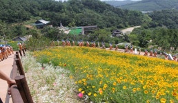 안곡서원 | 관광지 | 여행정보 | 경기관광플랫폼