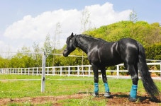 가평 물골 숲 계곡 캠핑장 | 관광지 | 여행정보 | 경기관광플랫폼