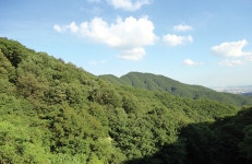 광교산 산림욕장 | 관광지 | 여행정보 | 경기관광플랫폼