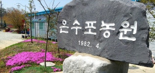 은수포관광농원 | 관광지 | 여행정보 | 경기관광플랫폼