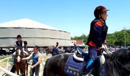 봉담호수공원 | 관광지 | 여행정보 | 경기관광플랫폼