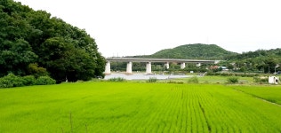 대림농장 | 관광지 | 여행정보 | 경기관광플랫폼