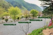 별드림캠핑장 | 관광지 | 여행정보 | 경기관광플랫폼