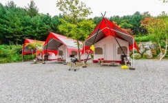 녹천농원캠핑펜션 | 관광지 | 여행정보 | 경기관광플랫폼