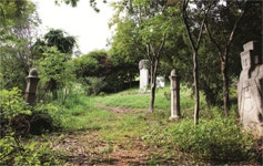 승림식물원 | 관광지 | 여행정보 | 경기관광플랫폼