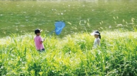 조종암 | 관광지 | 여행정보 | 경기관광플랫폼