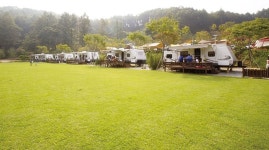 양평 파인힐 야영장 | 관광지 | 여행정보 | 경기관광플랫폼