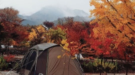 국망봉자연휴양림 | 관광지 | 여행정보 | 경기관광플랫폼