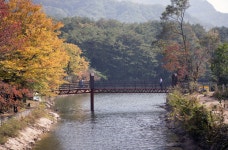 아버지의숲 산정캠프 | 관광지 | 여행정보 | 경기관광플랫폼