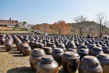 로하스 캠핑장 | 관광지 | 여행정보 | 경기관광플랫폼