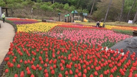 의정부예술의전당(의정부 8경) | 관광지 | 여행정보 | 경기관광플랫폼