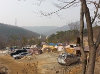 캠프리카캠핑장 | 관광지 | 여행정보 | 경기관광플랫폼