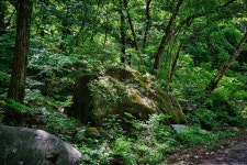 경기둘레길 - 기억의 흐름